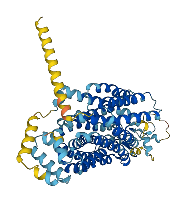 Slc22a22 3D structure