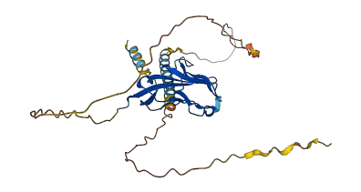 Timd2 3D structure