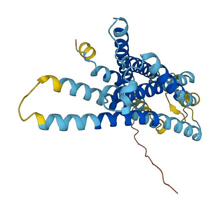 V1ra11 3D structure