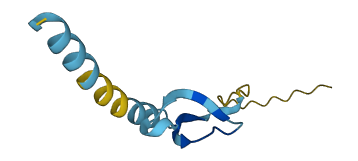 Defb15 3D structure