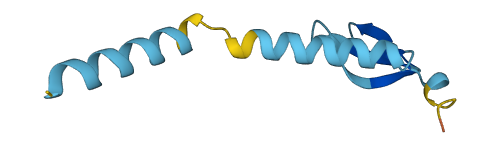 Defb11 3D structure