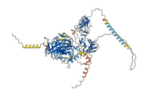 Adam1b 3D structure