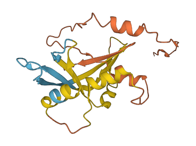 RNASE11 3D structure