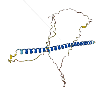 C1orf216 3D structure