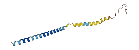 CCDC26 3D structure