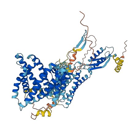 SLC30A5 3D structure