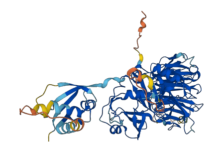 WDR48 3D structure