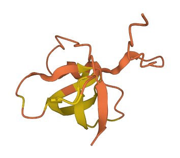 FLVCR1-DT 3D structure