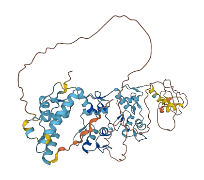 ZNF461 3D structure