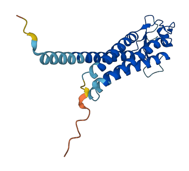 LHFPL5 3D structure
