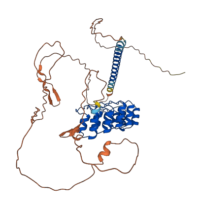 GABPB2 3D structure