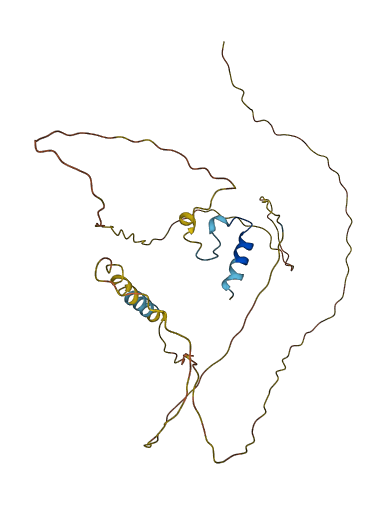 ERMN 3D structure