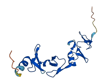 LMO3 3D structure