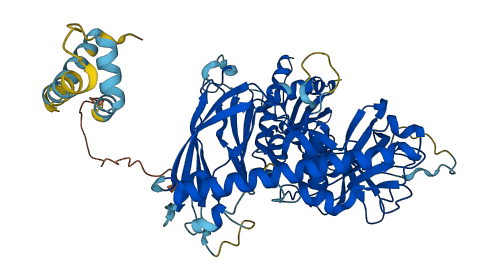 CEP76 3D structure