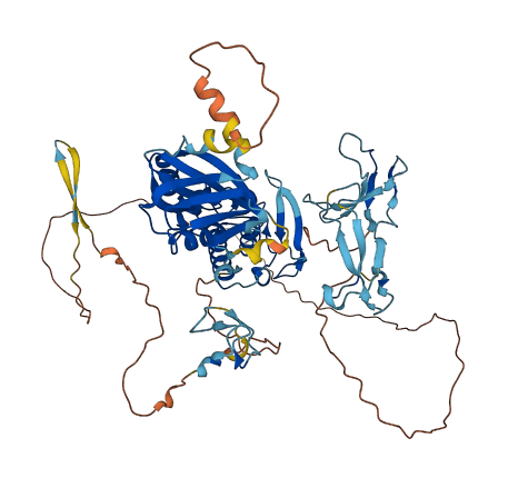 NEIL3 3D structure