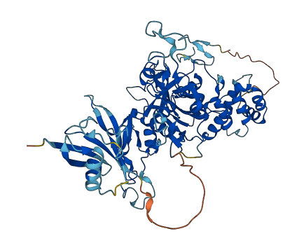 NPLOC4 3D structure