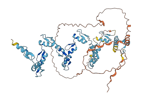 ZNF417 3D structure