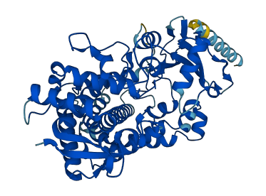CYP2W1 3D structure