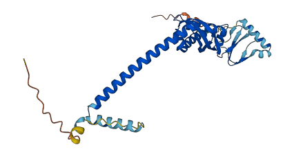STOML3 3D structure