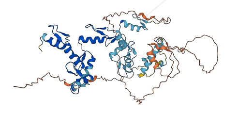 ZNF671 3D structure