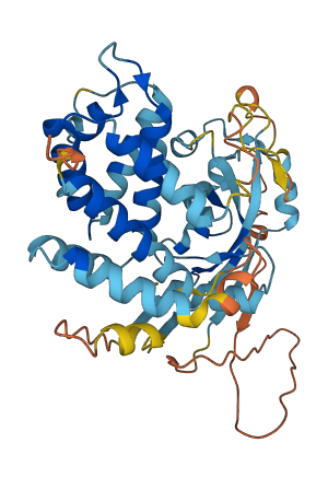 GSDMB 3D structure