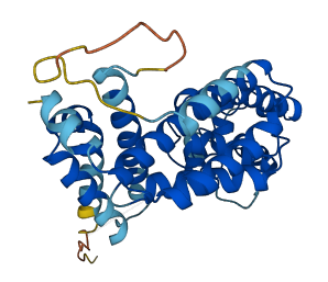 CXorf38 3D structure