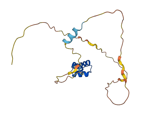UBALD1 3D structure
