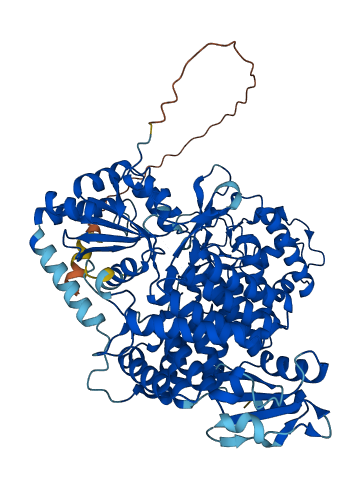 SPATA20 3D structure