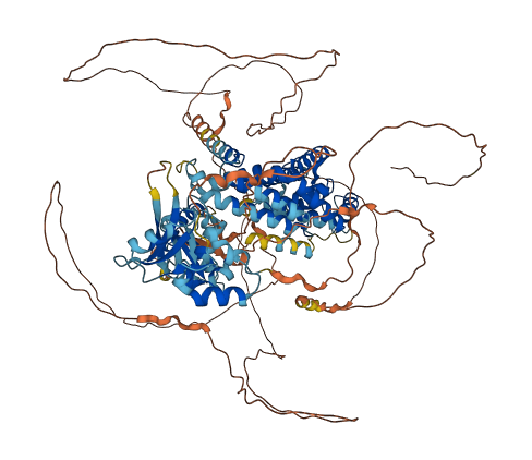 RIN3 3D structure