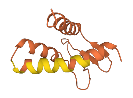 LINC01560 3D structure