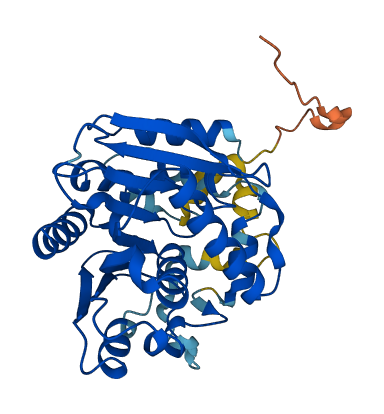 ABHD4 3D structure