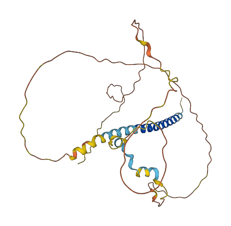 PRR7 3D structure