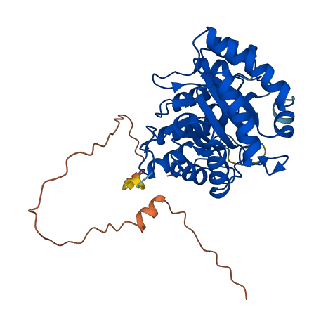 HMGCLL1 3D structure