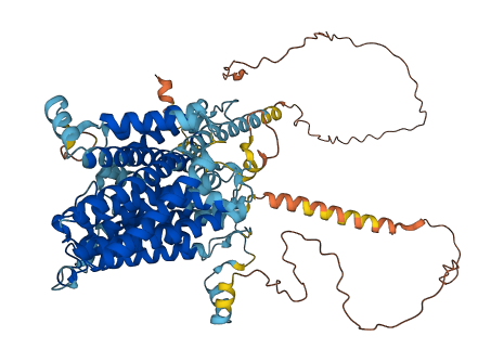 SLC7A14 3D structure