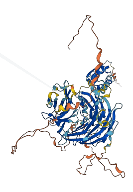 SHKBP1 3D structure