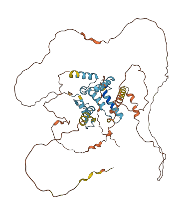 ZSCAN18 3D structure