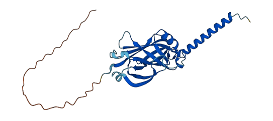 PIGX 3D structure