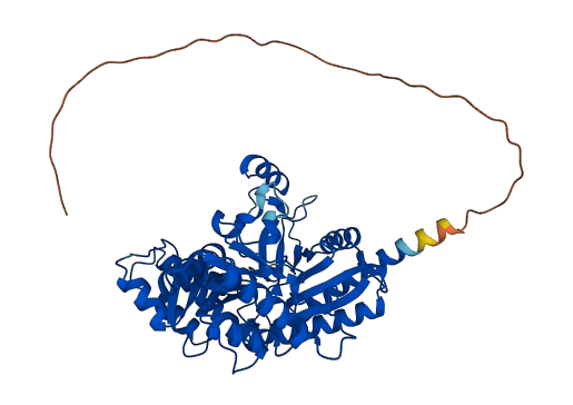 ETNPPL 3D structure