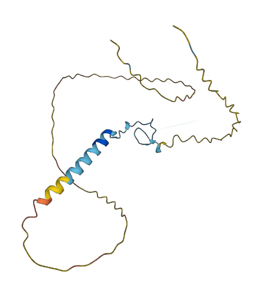 ZCCHC10 3D structure