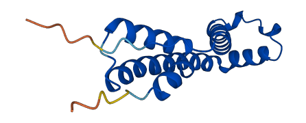TMEM254 3D structure