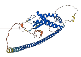 RAB3IL1 3D structure