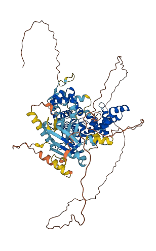 TBC1D16 3D structure