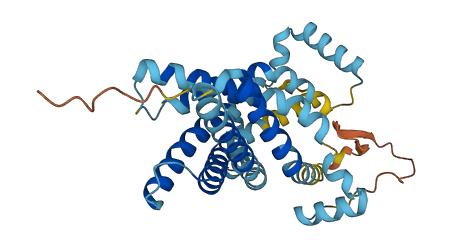 SLC25A40 3D structure