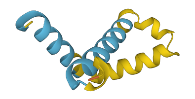 TMEM167A 3D structure