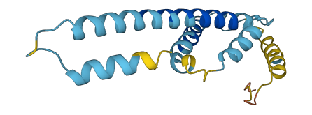 STAG3L4 3D structure