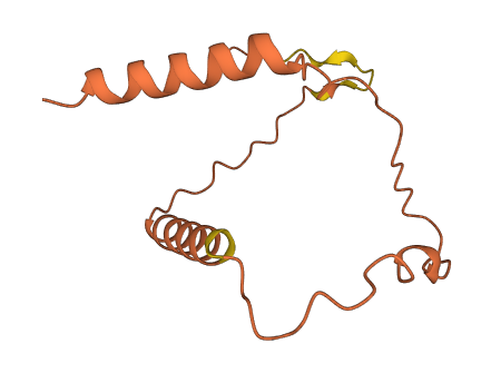 CIRBP-AS1 3D structure