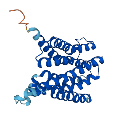 TLCD3A 3D structure