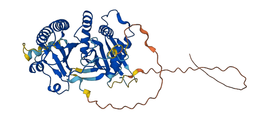 PIP4K2C 3D structure
