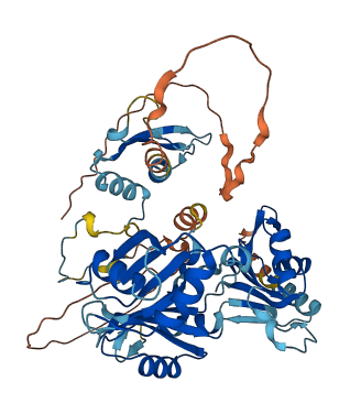 RBM46 3D structure