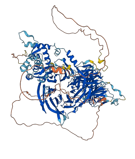 WDR66 3D structure